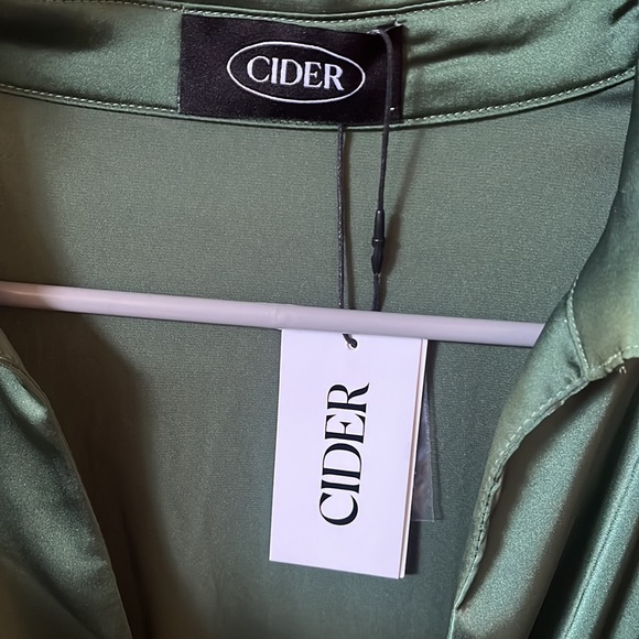 NWT Cider Green Silk Dress - Picture 4 of 5